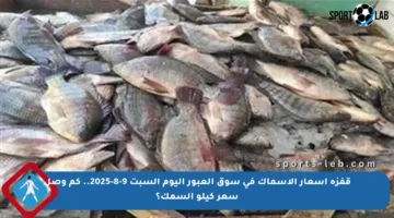 قفزة أسعار الأسماك في سوق العبور اليوم السبت 9-8-2025.. كم وصل سعر كيلو السمك؟